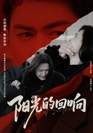 阳光的回响（50集）短剧推荐上热门