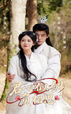 君心似剑负相思（61集）最后一集
