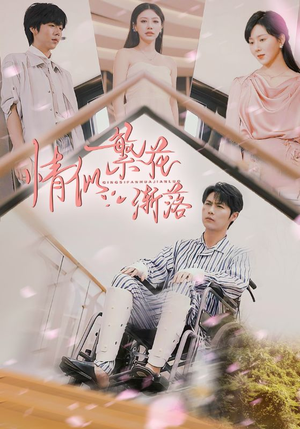 情似繁花渐落（62集）精彩短剧追不停