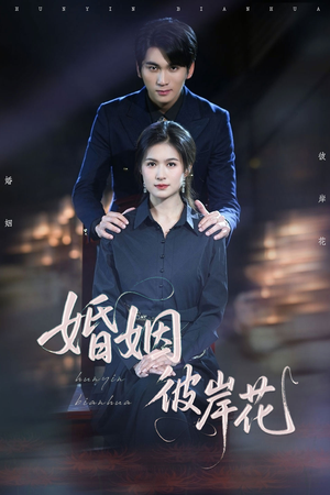 婚姻彼岸花（63集）爆火短剧追不停