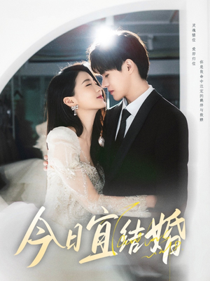 今日宜结婚（80集）免费观看完整版