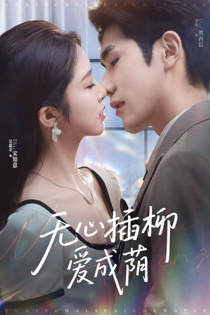 无心插柳爱成荫（80集）一口气看完全集