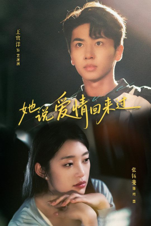 她说爱情回来过（86集）剧情简介