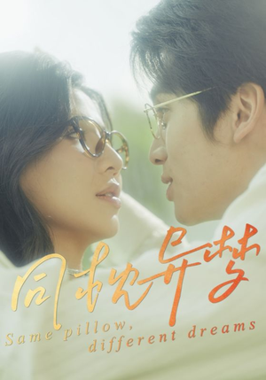 同枕异梦（50集）火爆热门短剧