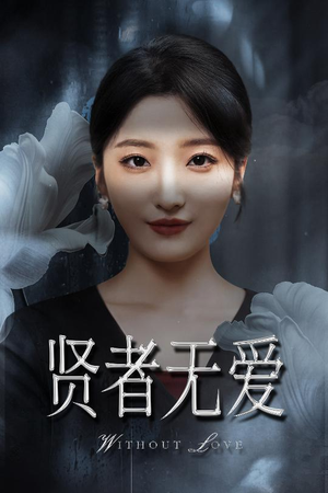 贤者无爱（42集）排行榜前十短剧