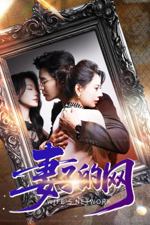 妻子的网（50集）一共多少集