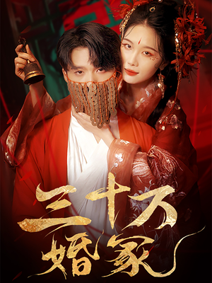 三十万婚冢（51集）评价怎么样