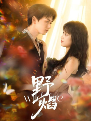 野焰（60集）好看短剧看不停