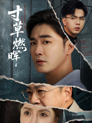 寸草燃晖（70集）最后的大结局