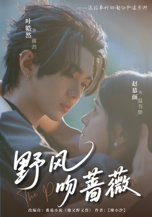 野风吻蔷薇（78集）短剧推荐上热门
