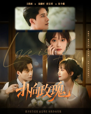 扑向玫瑰(77集) 扑向玫瑰(77集)西瓜短剧免费看