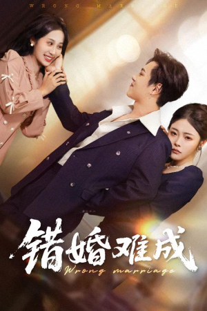 错婚难成（45集）在线看免费版