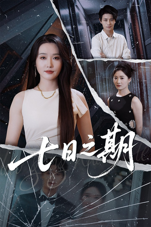 七日之期(90集) 七日之期(90集)哪个短剧网能看