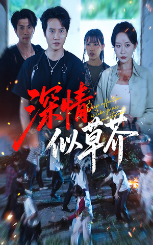 深情似草芥（51集）精彩短剧上线