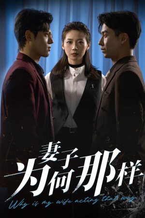 妻子为何那样（60集）怎么看全集