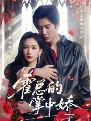 霍总的掌中娇（80集）短剧在哪个平台