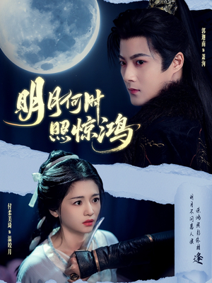 明月何时照惊鸿（80集）精彩不断免费看