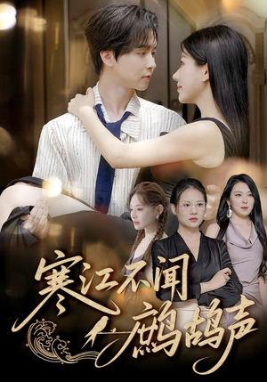 寒江不闻鹧鸪声（55集）短视频追剧推荐