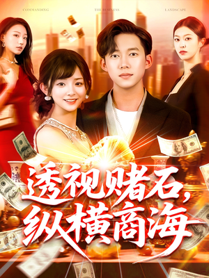 透视赌石，纵横商海（80集）全集一网打尽