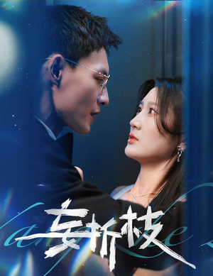 妄折枝（53集）在线播放