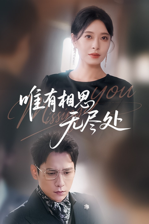 唯有相思无尽处（66集）在线免费观影