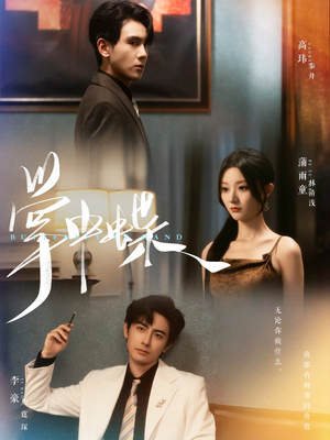 掌中蝶（84集）深深爱上这部剧