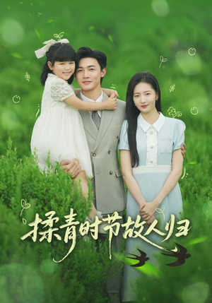 揉青时节故人归（60集）免费短剧完整版