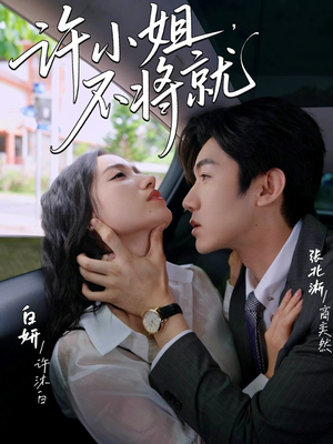 许小姐不将就（60集）热播短剧抢先看