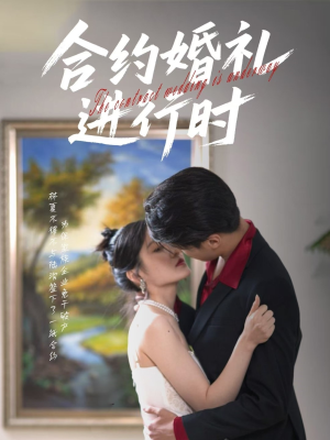 合约婚礼进行时（30集）无需会员免费看