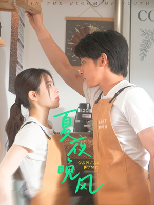 夏夜晚风(12集) 夏夜晚风(12集)无需会员免费看