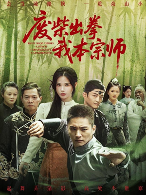 废柴出拳我本宗师(61集) 废柴出拳我本宗师(61集)精彩短剧抢先看