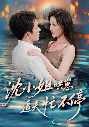 沈小姐哄崽追夫忙不停（84集）全部免费看全集