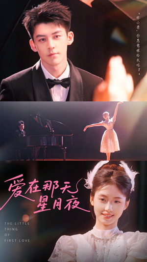 爱在那天星月夜（46集）在线观看完整版
