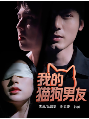 我的猫狗男友（53集）超好看古装短剧