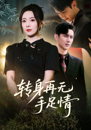 转身再无手足情（71集）上热门短剧