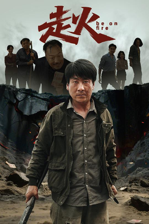 走火（60集）短剧后续更精彩