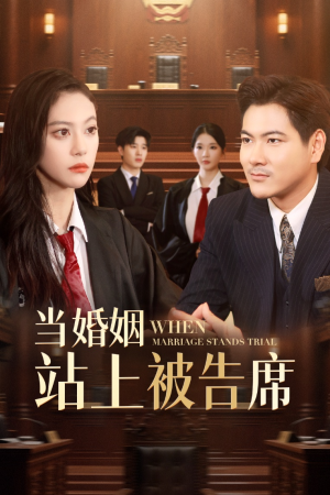 当婚姻站上被告席（30集）让你一口气看完