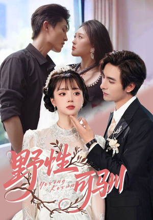 野性可驯（63集）追短剧关注我