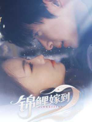 锦鲤嫁到（67集）好看短剧又来了