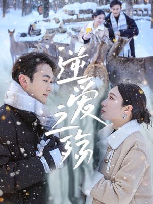 逆爱之殇(60集) 逆爱之殇(60集)短剧小说在线看