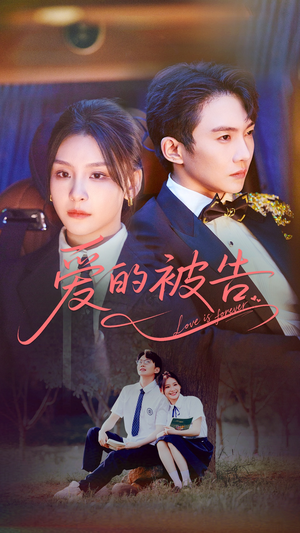 爱的被告（70集）看精彩短剧