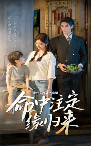 命中注定缘归来（63集）好短剧分享