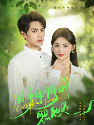 明月何时照他还（73集）免费短剧资源