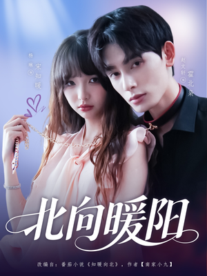 北向暖阳（80集）短剧全集更精彩