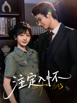 注定入怀（70集）在哪里可以看