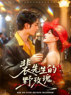 裴先生的野玫瑰（72集）最后的大结局