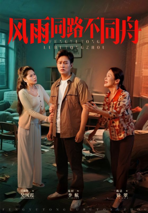 风雨同居不同舟（32集）好看短剧追不停