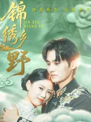 锦绣乡野（42集）超好看短剧推荐