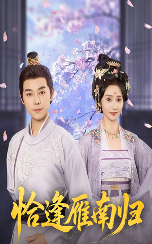 恰逢雁南归（51集）免费观看