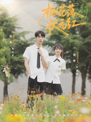 栀子花落状元红（50集）解说文案